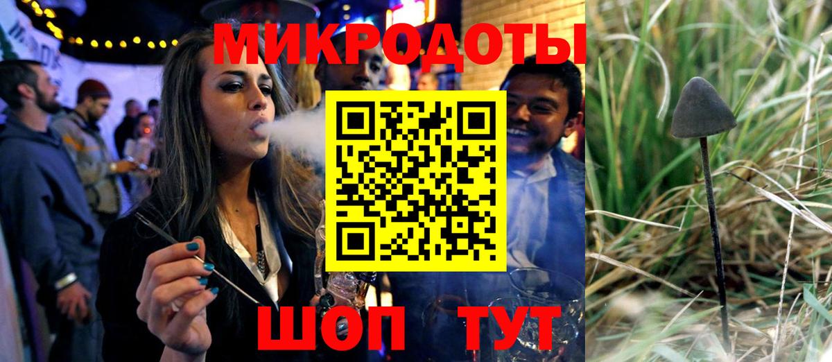 Псилоцибиновые грибы Psilocybine cubensis Саратов