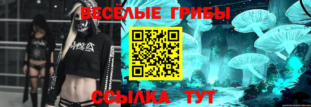 Саратов  Галлюциногенные грибы ЛСД  даркнет сайт  Псилоцибиновые грибы Psilocybe  Вход с VPN 
